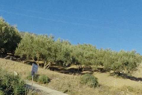 Finca i Mondron, Malaga, Mondron - € 26.000 | Ref: ID4388 - foto 2